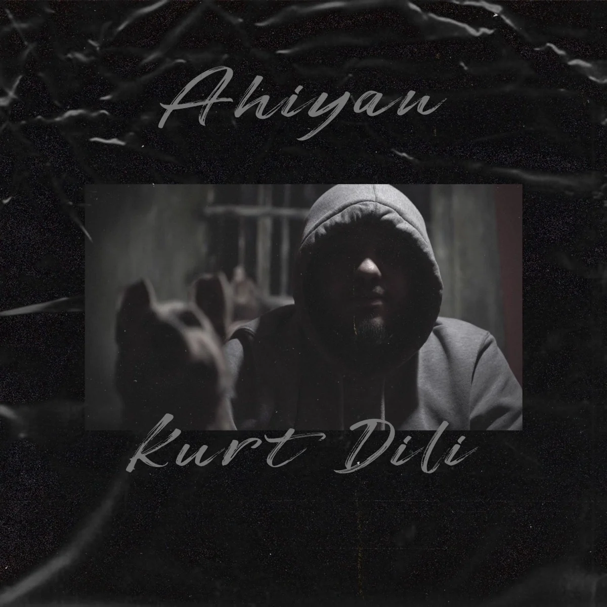 undefined · Kurt Dili