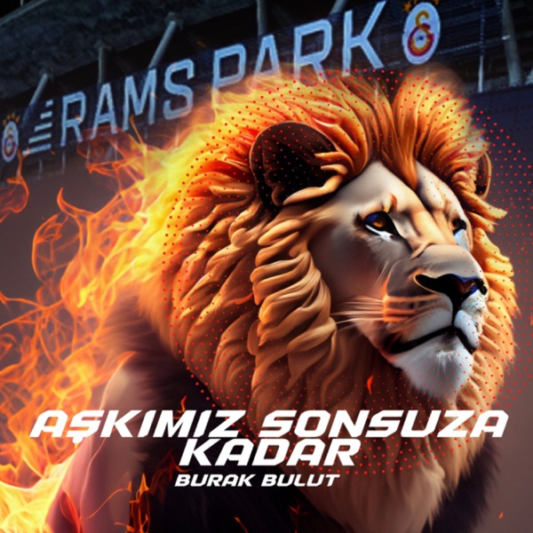 Aşkımız Sonsuza Kadar resmî yayın kapağı
