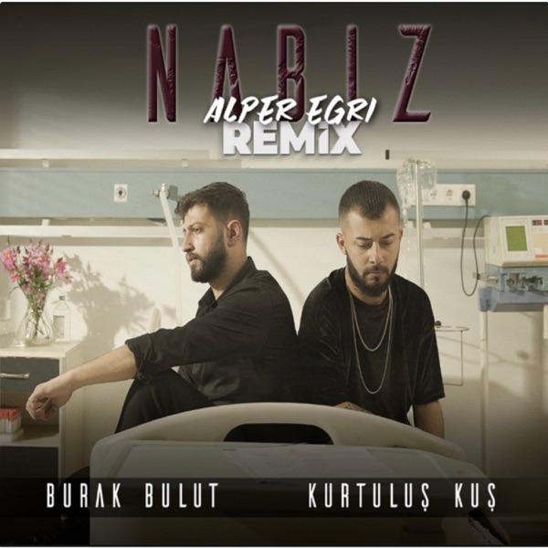 Nabız (Alper Eğri Remix) resmî yayın kapağı
