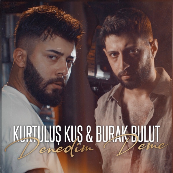 Denedim Deme resmî yayın kapağı
