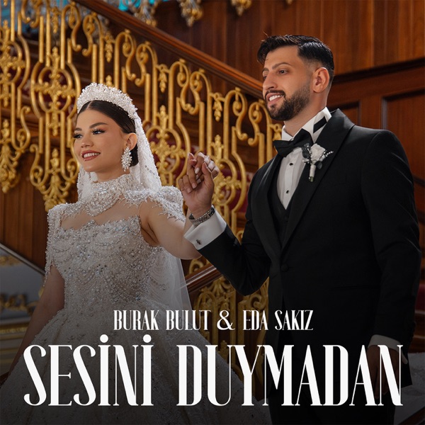 Sesini Duymadan resmî yayın kapağı