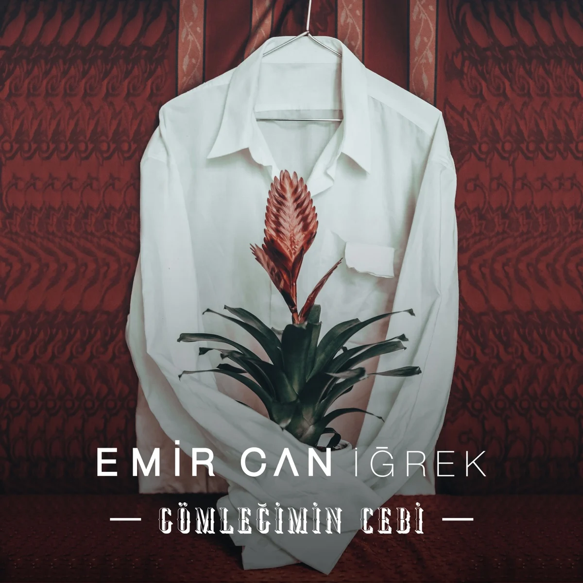 Gömleğimin Cebi - Single resmî yayın kapağı