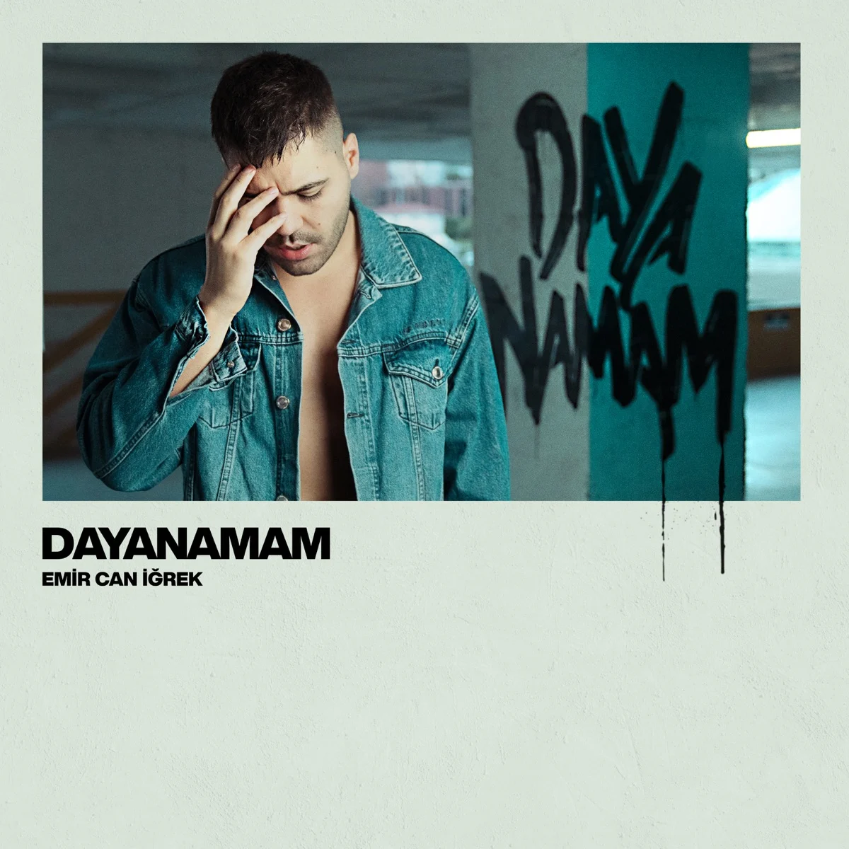 Dayanamam - Single resmî yayın kapağı